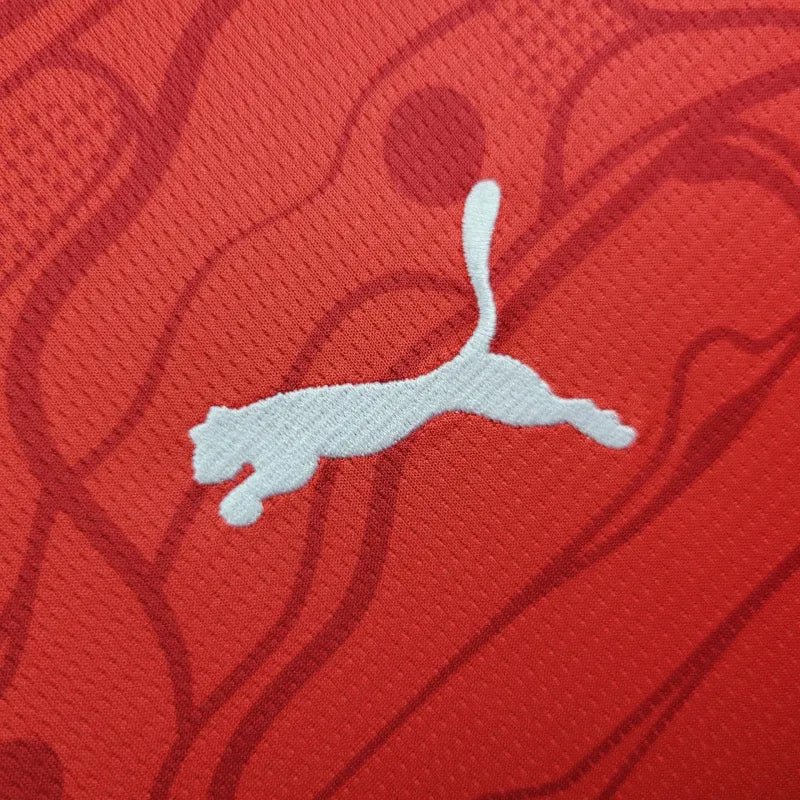 Austria 2024 Maglia Home