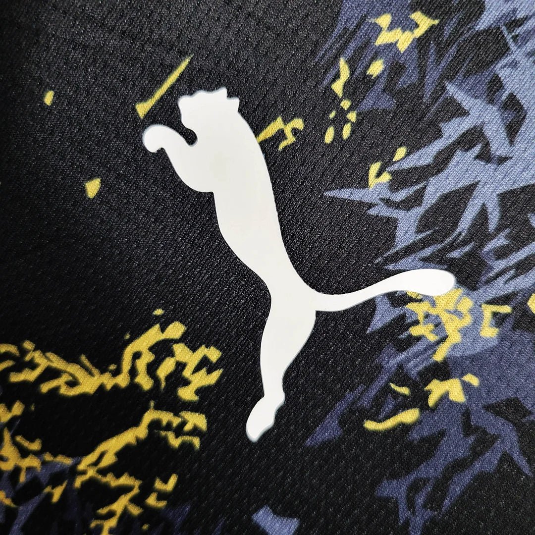 Manchester City Maillot Spécial Champions 2023