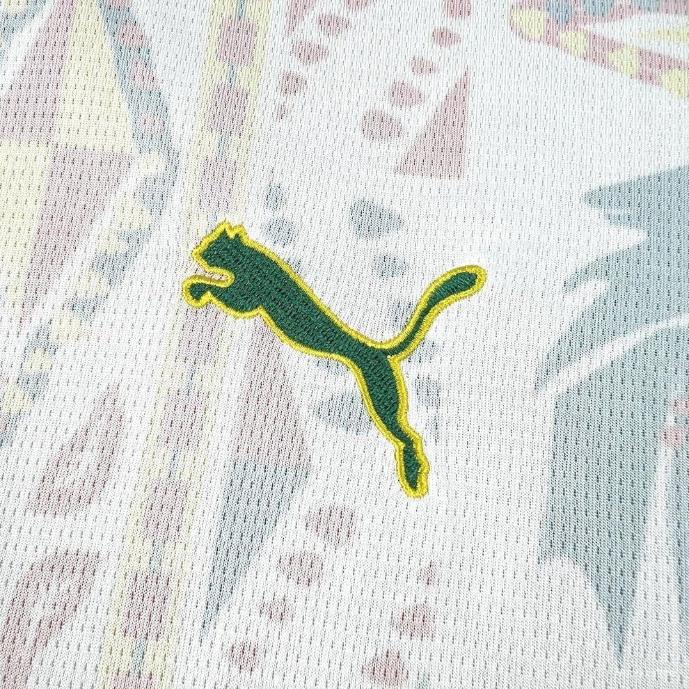 Maillot Extérieur Sénégal Coupe du Monde 2026